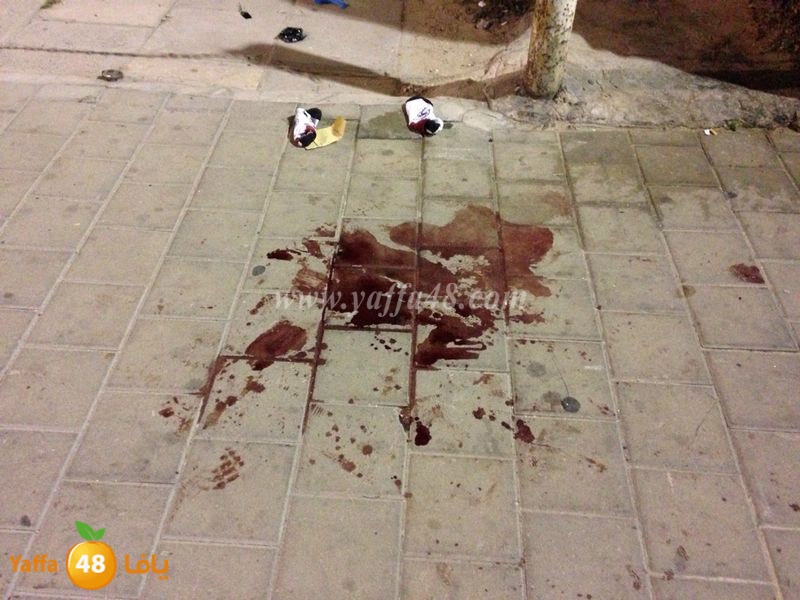 ta3n yaffa 7san bk (7).JPG